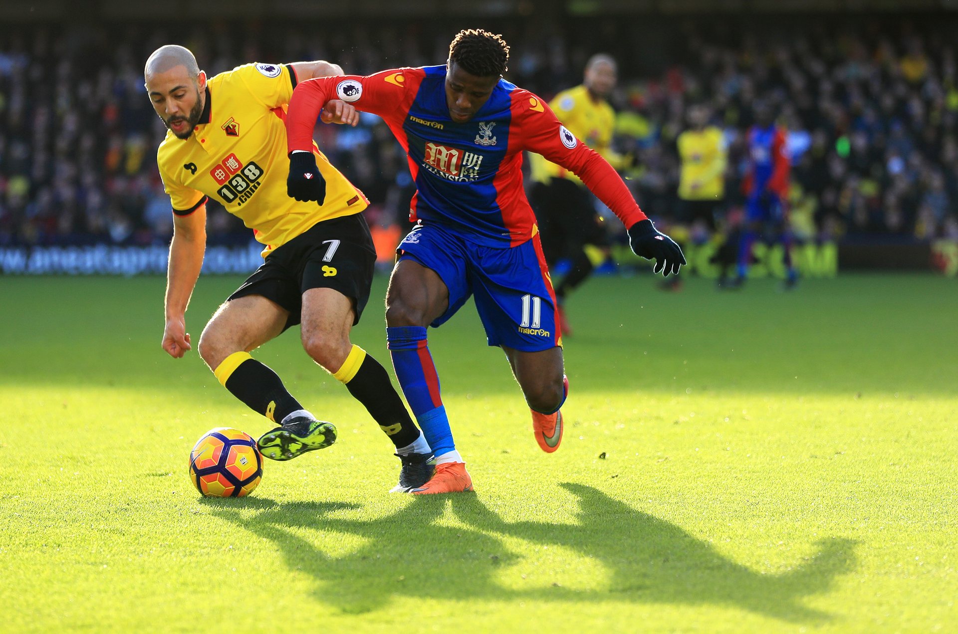 是否意味着 是否意味着